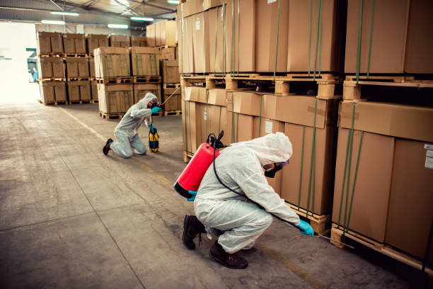 Best Exterminator Services  in New Lno, LA