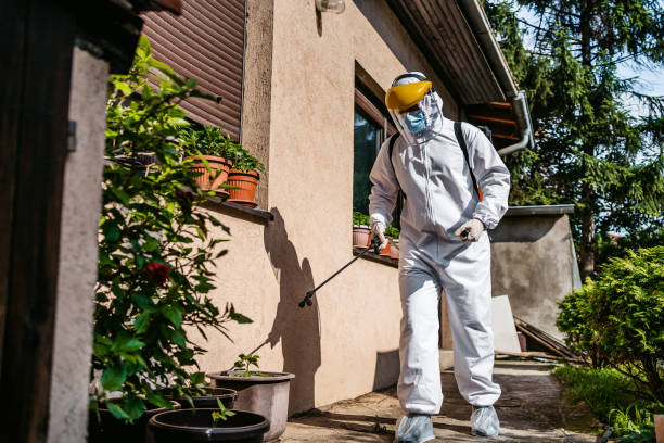 Best Commercial Pest Control Services  in New Lno, LA