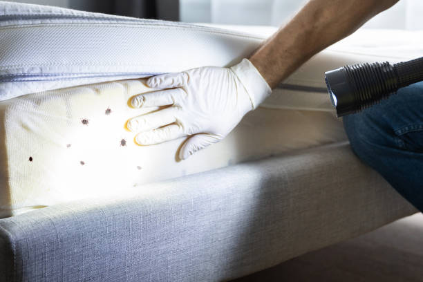 Best Wildlife Control Services  in New Lno, LA