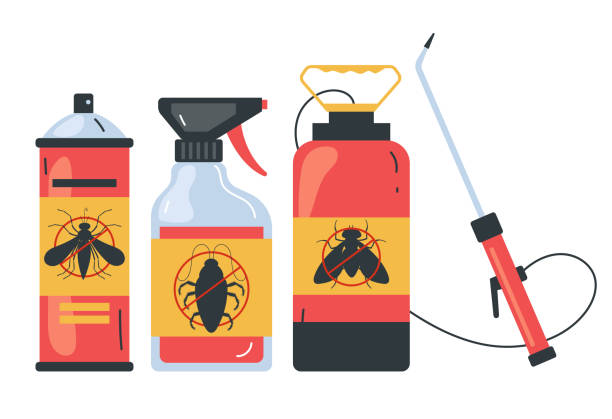 Best Ant Control Services  in New Lno, LA