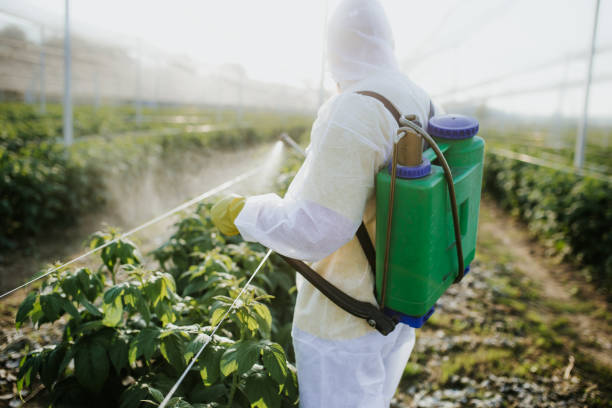Best Affordable Pest Control Services  in New Lno, LA